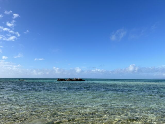 �J�C�W�l�ł��B�����o�X300�~�ɏ���čs���܂����B_���h�ό�