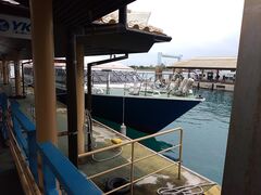 sokudumo̐Ί_`^[~iւ̓eʐ^1