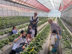 ~X^[^CK[X̃C`SmCGւ̓eʐ^2