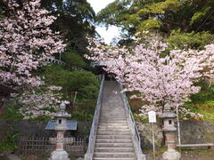 jR񂳂̊Ó_{ւ̓eʐ^1