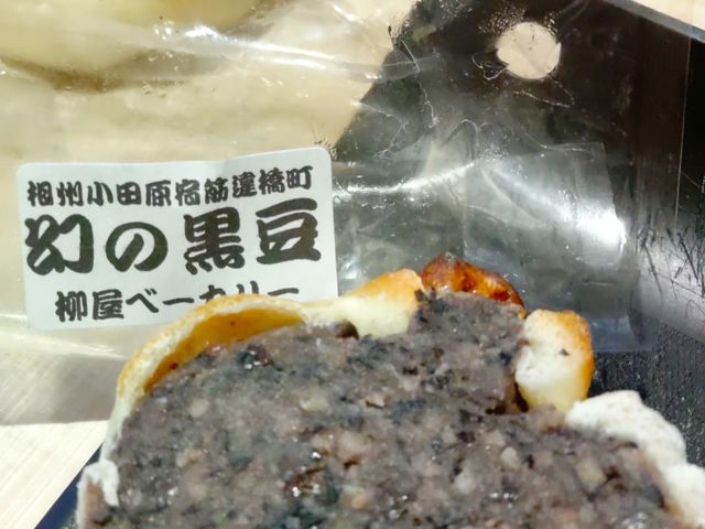 ׂƈꏏɓĂ܂B
ɏĔł
_x[J[