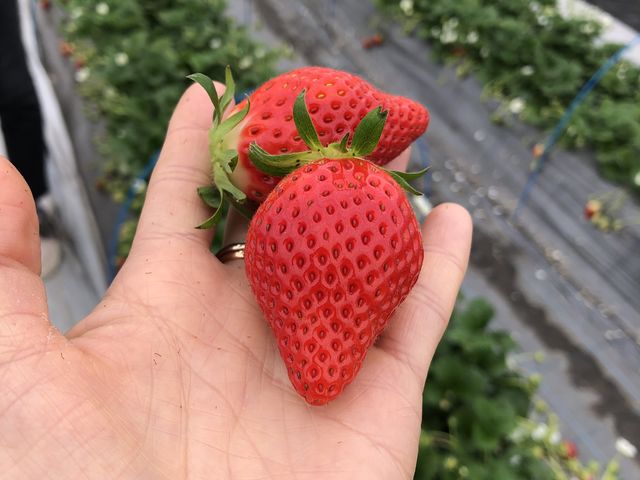 ��悢�P�H_䕉����߃n�E�X