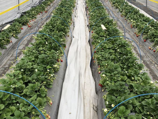 �L�[���n�E�X
����䕂͂قƂ�ǖ����A�������������Ƃ���Ă���悤�Ɋ����܂���_䕉����߃n�E�X