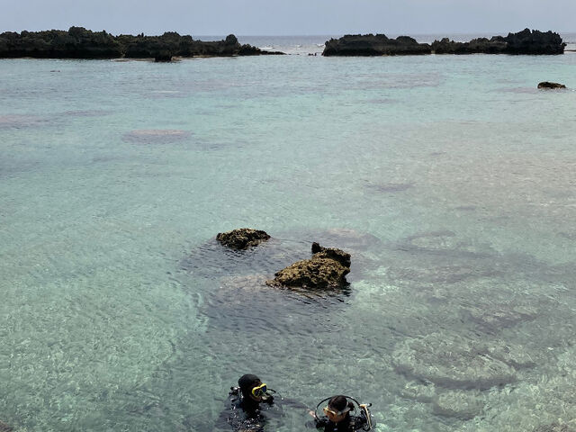 ���S�҂ł����S���S�ł����B_�_�C�r���O�V���b�v�@���[�O��