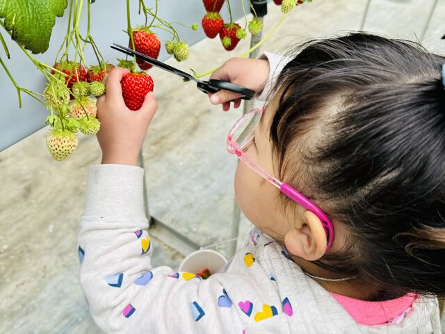 �w�^�̉��܂Ő^���Ԃ�䕂ɑ_�����߂�_���������L�n�x�m