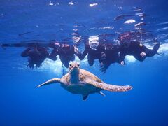 ݂̃}VbvΊ_Ί㐿ւ̓eʐ^1