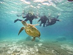 ͂Ȃ̃I[X[Vm[P{Óւ̓eʐ^1