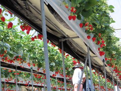 ΂񂳂񂳂̕όAOXl΂ւ̓eʐ^1