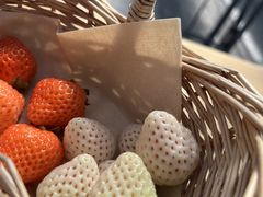 ���т��݂����䕉����Ƃ��ւ̓��e�ʐ^1