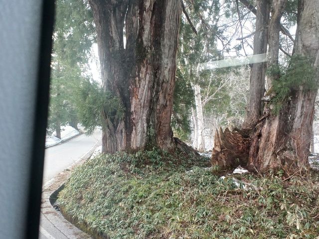 A̗R B 1000N ł_RAy[gyxRz