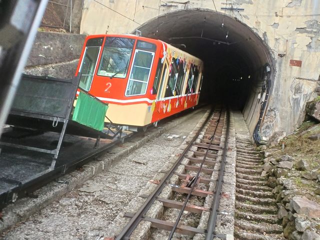 s13̃P[uJ[ ̑JÃP[uJ[16ɏ_RAy[gyxRz