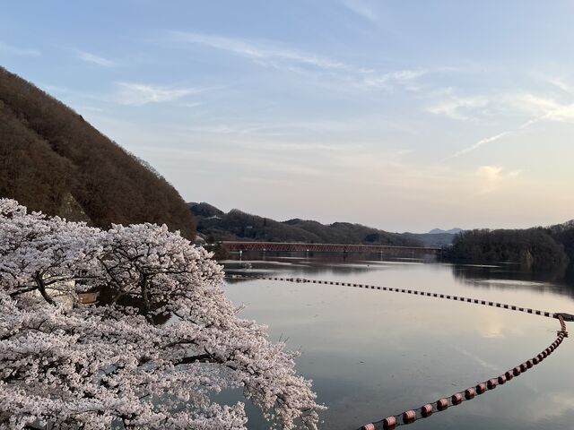 �����낷�`�ł̌Ζ�_���[��