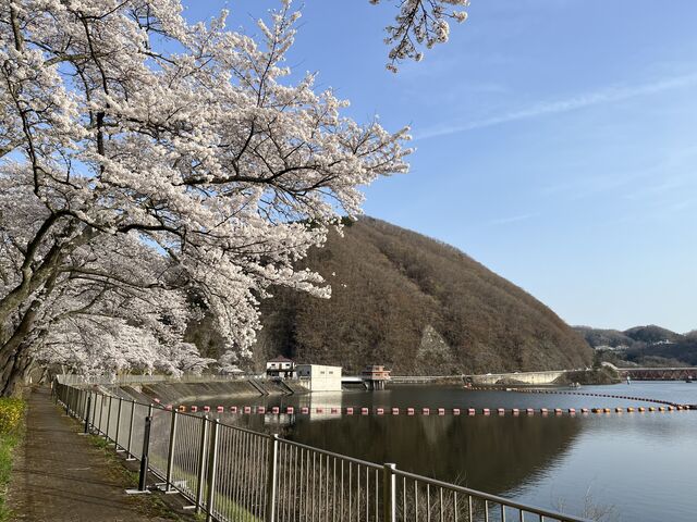 �V���������ɍ�����������_���[��