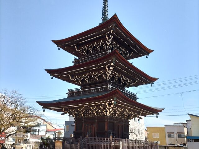 �ɂ�ɂ񂳂���Ή��R ��ˍ������̓��e�ʐ^1