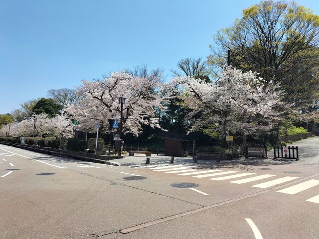 ���Z���̍�