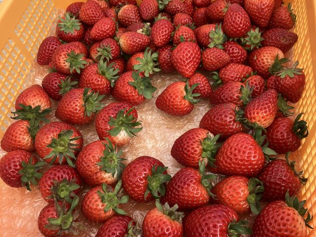 �₽���������_���񂫔_��