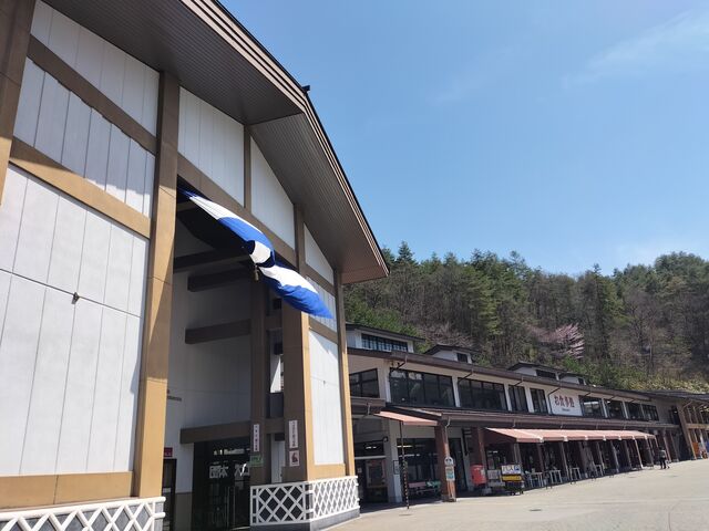 ɂɂ񂳂̔ˍR܂̐X̓eʐ^1