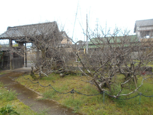 gV[̓c쒬̉痳~̓eʐ^1