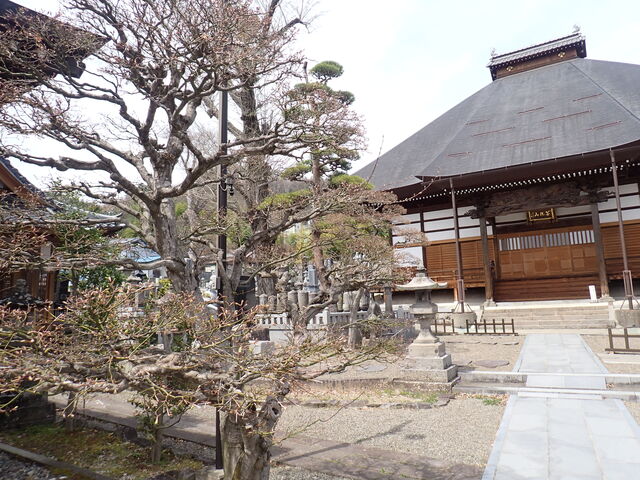 �}�C�a�n�n����̕��R����@�̓��e�ʐ^1