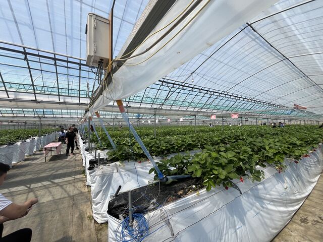 �r�j�[���n�E�X�L���I�ʘH�A���J�o�[����I�x���`����I䕂��悹�邨�M������I�u�����h�̕\���������I_���c�t�@�[���@�x���[��