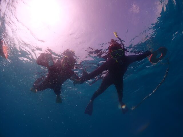 ���ꂢ�ł����I_�u���[���O�[���Ί_��