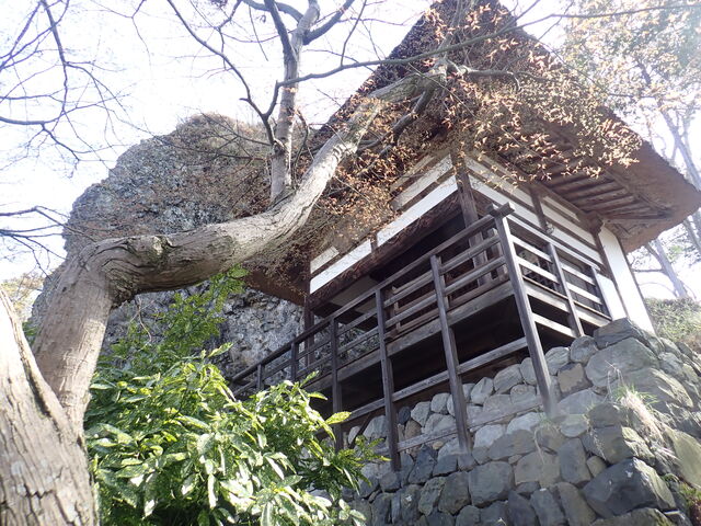 �}�C�a�n�n����̛H�̎R���y���̓��e�ʐ^1