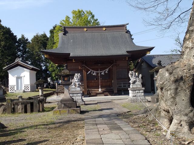 P3N674Nn@ߘa6N1350NOł@PL͎600NƂĂ܂A̗͋__Ђ̑PL