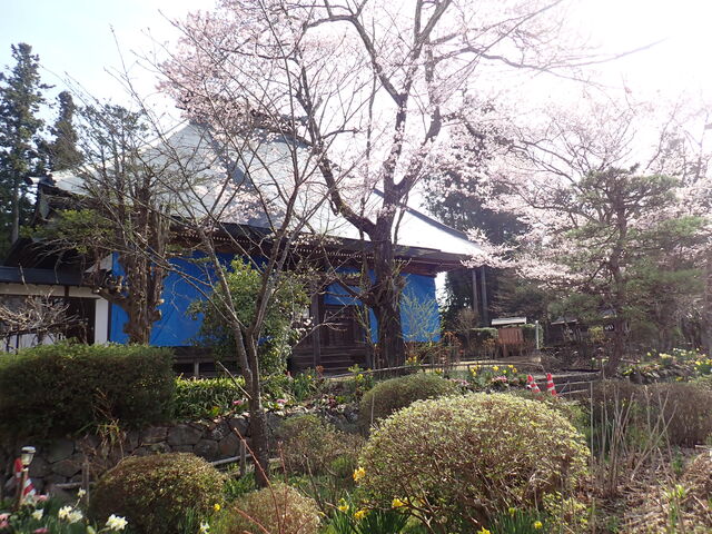 �}�C�a�n�n����̐��@���̓��e�ʐ^1