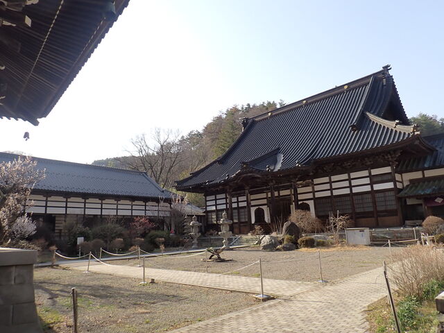 �}�C�a�n�n����̖@�P���̓��e�ʐ^1