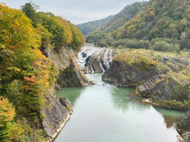 �璹�����猩�����勬�Ɛ璹����̕��i_��̏�����i�|���\�E�J���C�R�^���璹�P��j