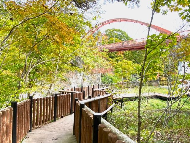 �璹���̉���ʂ��l�ɐݒu����Ă���ؓ��V����_��̏�����i�|���\�E�J���C�R�^���璹�P��j