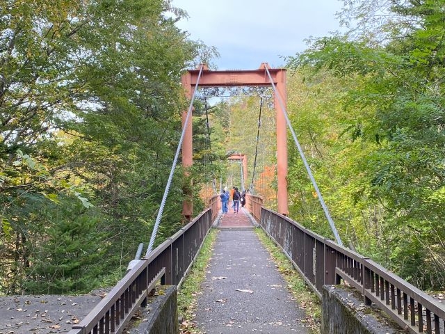 ��݂̒苴_��̏�����i�|���\�E�J���C�R�^���璹�P��j