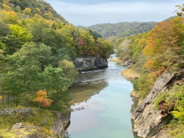 ��݂̒苴���猩�����勬�̕��i_��̏�����i�|���\�E�J���C�R�^���璹�P��j