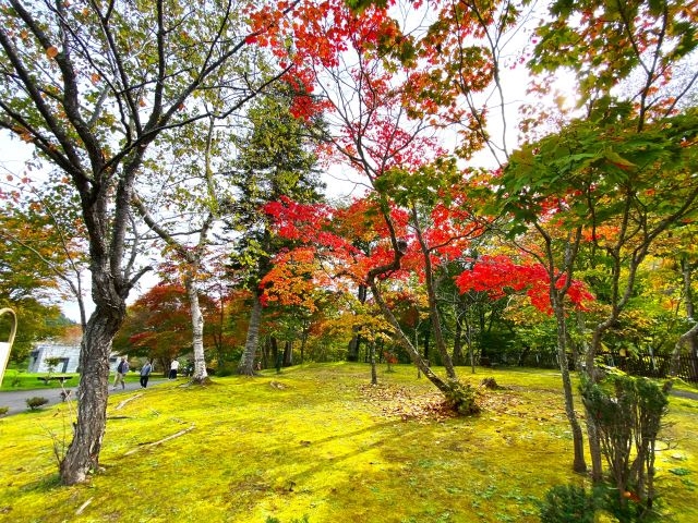 �W�]�L��̑ۂƍg�t_��̏�����i�|���\�E�J���C�R�^���璹�P��j