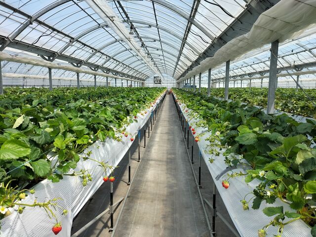 xr[J[ʂقǂ̕܂B䕎肵₷̂łႪ܂ɊyɓEݎ܂B_䂢܁[FARM