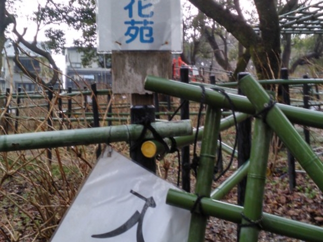 ���X�_��