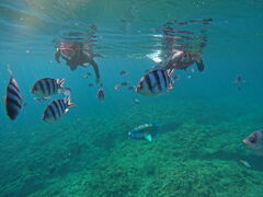 ����������̕��������ւ̓��e�ʐ^1