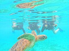 Ȃ̃I[X[Vm[P{Óւ̓eʐ^1