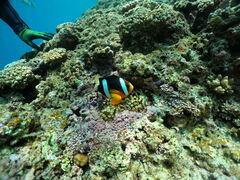 ��������̕��������ւ̓��e�ʐ^1