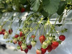 sX}j̃AOX^[XyVւ̓eʐ^1