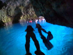 codino����̕��������ւ̓��e�ʐ^1