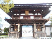 �g�V���[����̓���V�̓��e�ʐ^1