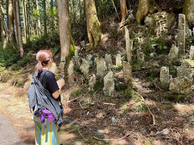 �S�M�\_�V�} �X�p �K�C�h with �v��