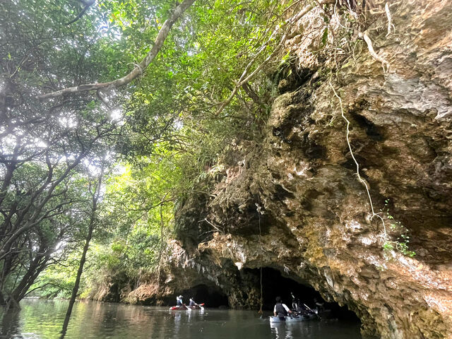 ���A�ɂ̓R�E���������܂����B_�Ί_���J�k�[�c�A�[�E�r��