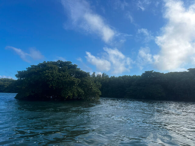 �Ƃɂ������R����������&�߂��I_�Ί_���J�k�[�c�A�[�E�r��