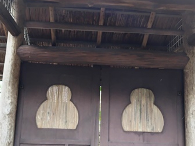 �B�ꂾ���_�@�֎��i�B�����j