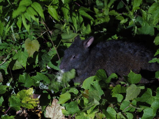 ETM͂ƂĂ񌩂܂_KChuÂ̐Xv