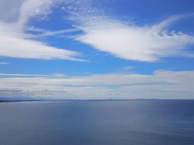 ⃖肩]ޓ{CƐg()_䏈Ώ֏M