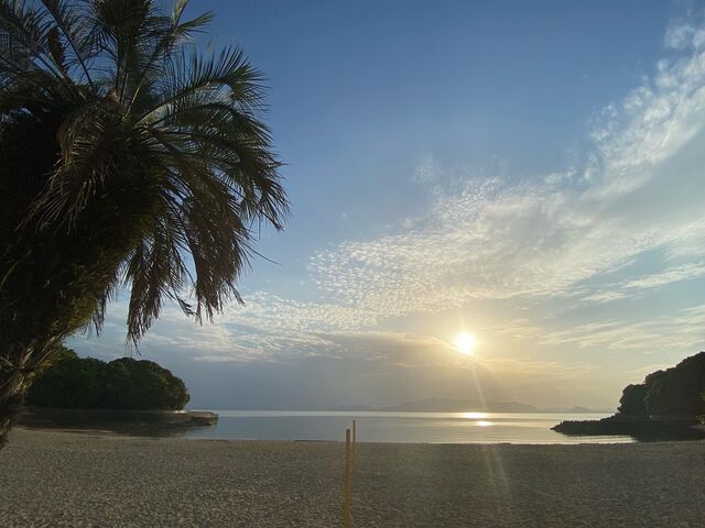 炳̈k}p[Nr[`̓eʐ^1