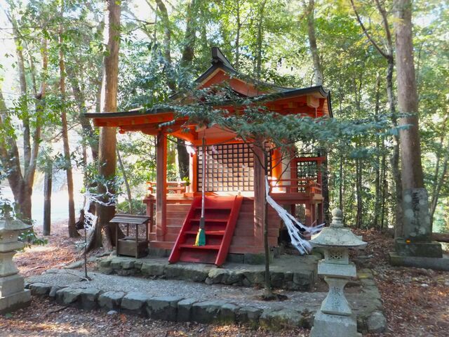 ڂ炳̔S剤qՂ̓eʐ^1